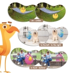 topolgy-birdsspatial-orientation (2).jpg