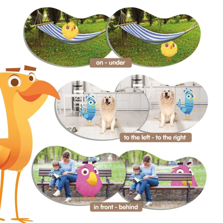 topolgy-birdsspatial-orientation (2).jpg