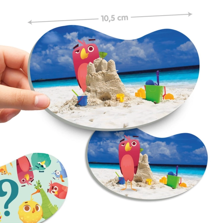topolgy-birdsspatial-orientation.jpg