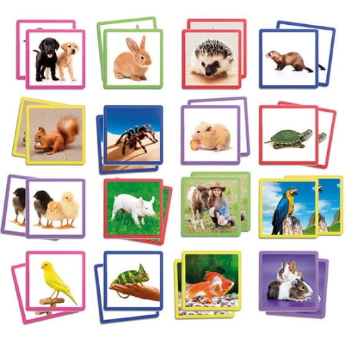 maxi-memory-pets (1).jpg