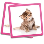 maxi-memory-pets.jpg