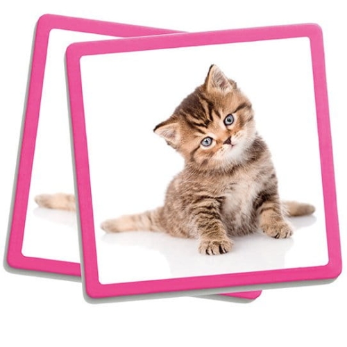 maxi-memory-pets.jpg