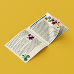 Mockup_instrukcja.png