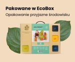 Zrzut ekranu 2024-11-22 094540.jpg