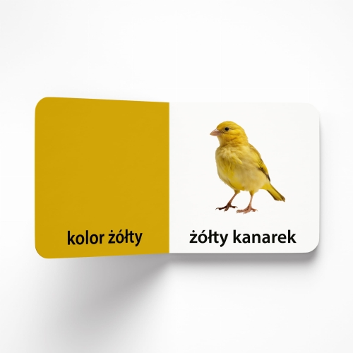 Ksiazeczka-Jaki-to-kolor-Zwierzeta-domowe-2.jpg