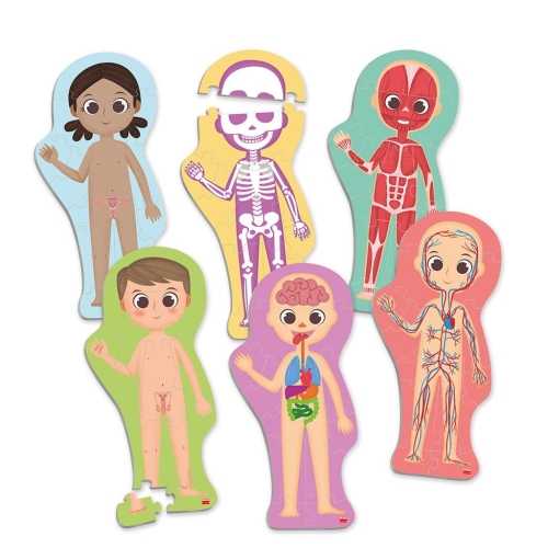 a-maxi-puzzle-discover-and-identify-the-human-body (1).jpg