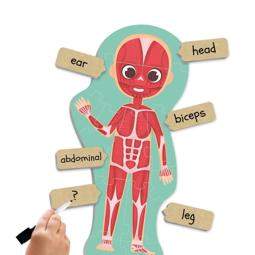 a-maxi-puzzle-discover-and-identify-the-human-body.jpg