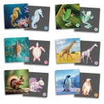 maxi-memory-vertebrate-animals-and-their-skeletons.jpg