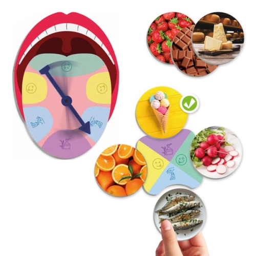 the-sense-of-taste-and-flavours.jpg